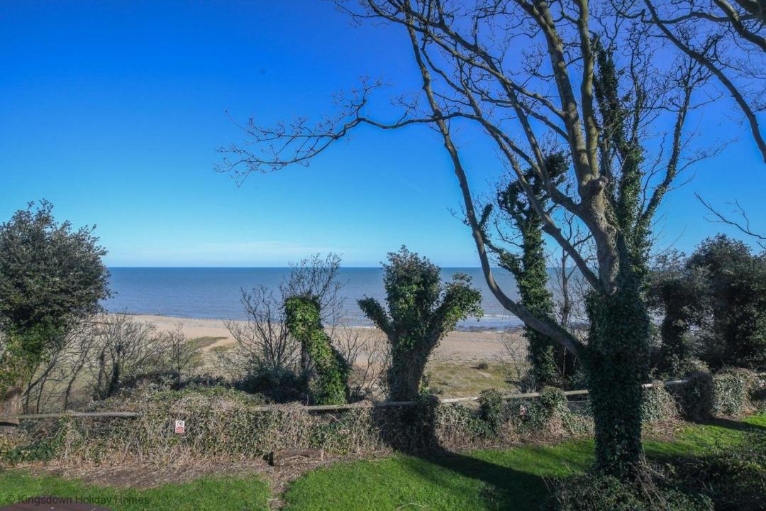 Photo of Others in Martin