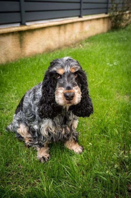 Photo of Others in Cours-de-Pile