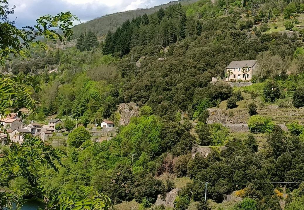 Photo of Others in Sainte-Marguerite-Lafigere