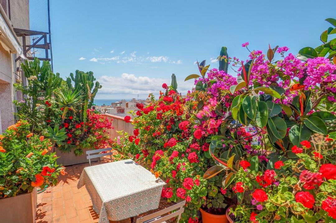 Photo of Others in Sitges