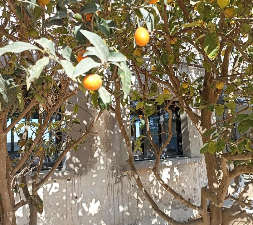 Photo of Others in Bompas