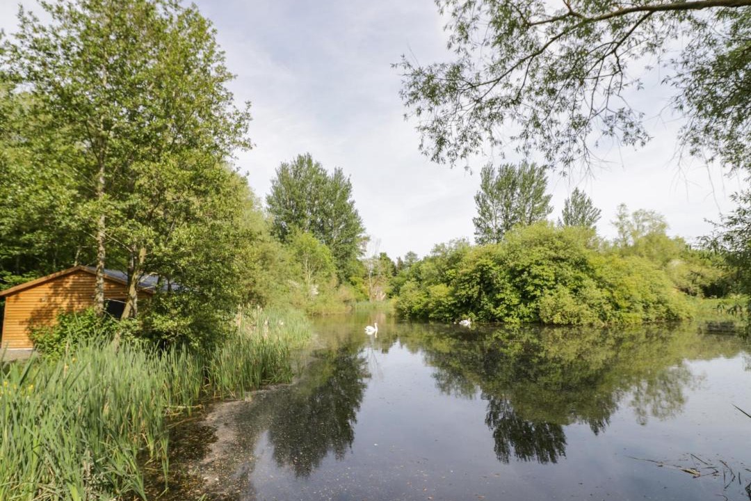 Photo of Others in Frankton