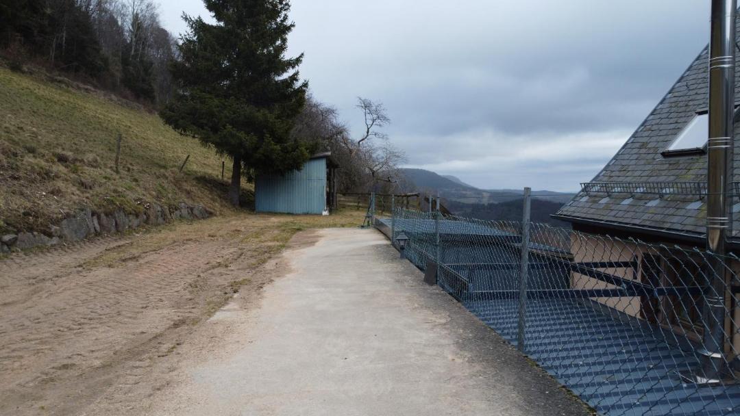 Photo of Others in Lapoutroie