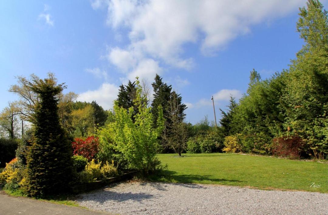 Photo of Others in Dannes