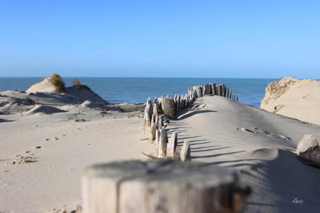 Photo of Others in Dannes