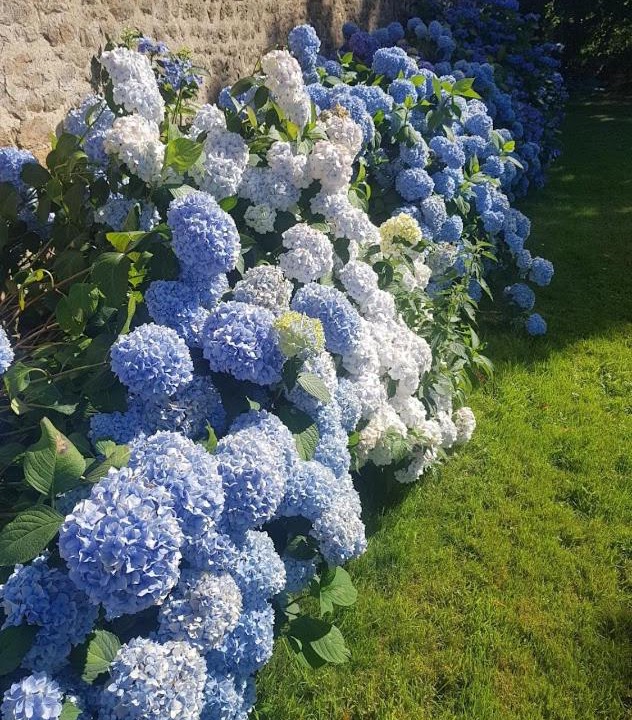 Photo of Others in Saint-Pierre-des-Nids