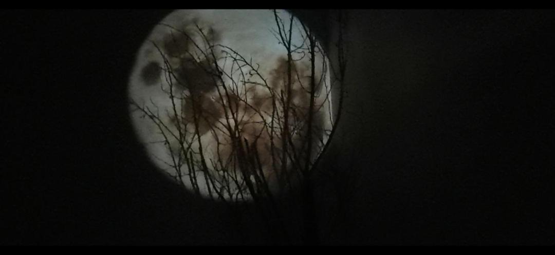 Photo of Others in Sequedin