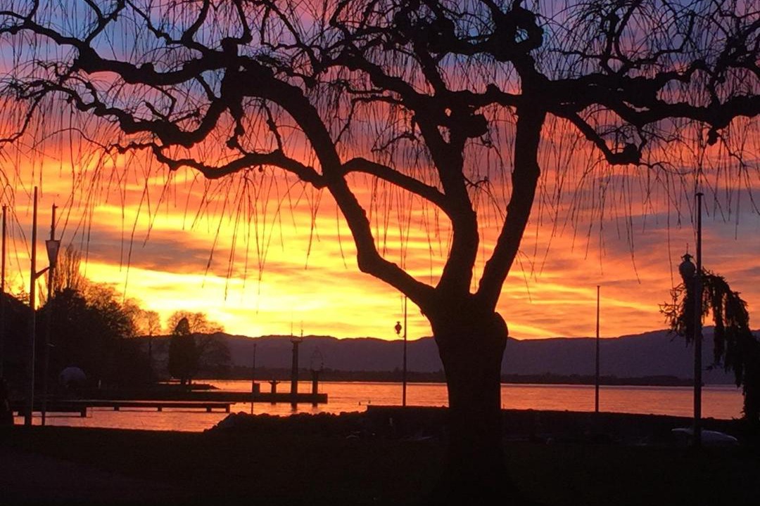 Photo of Others in Lugrin