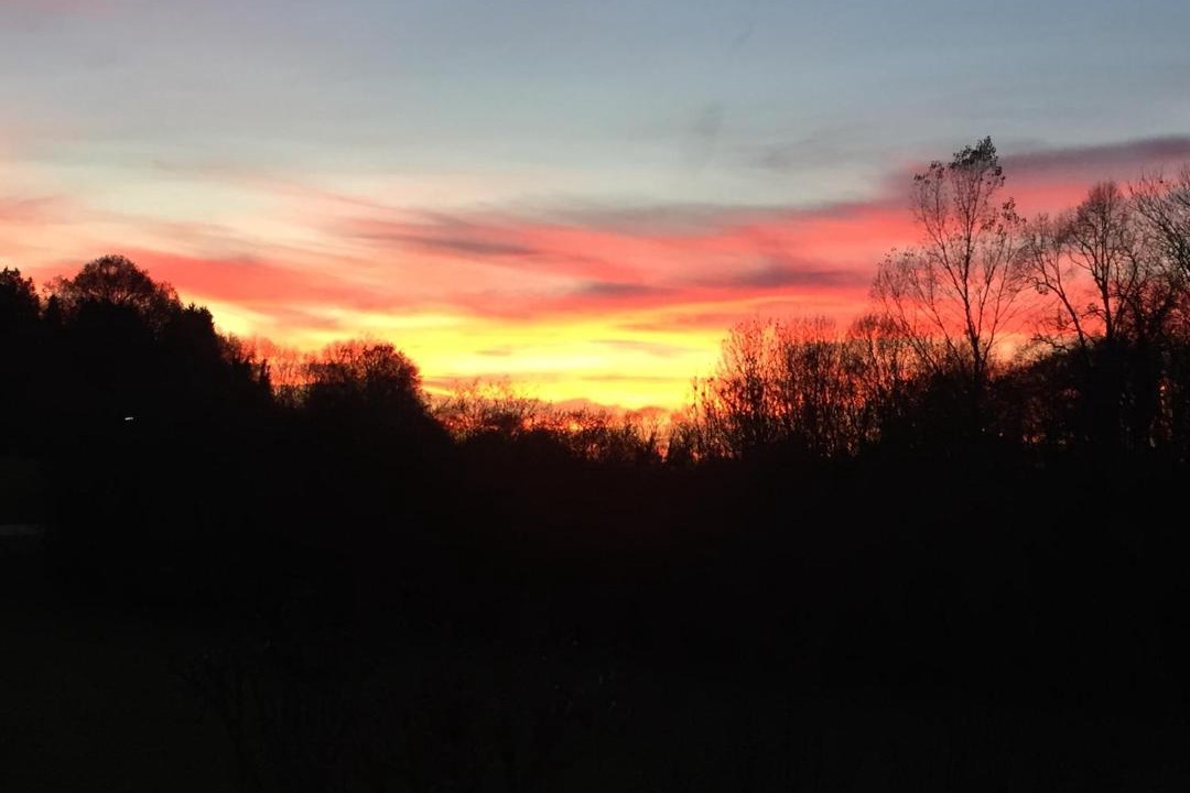 Photo of Others in Lugrin