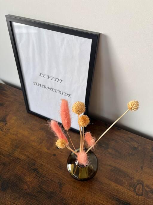 Photo of Others in Paimpol