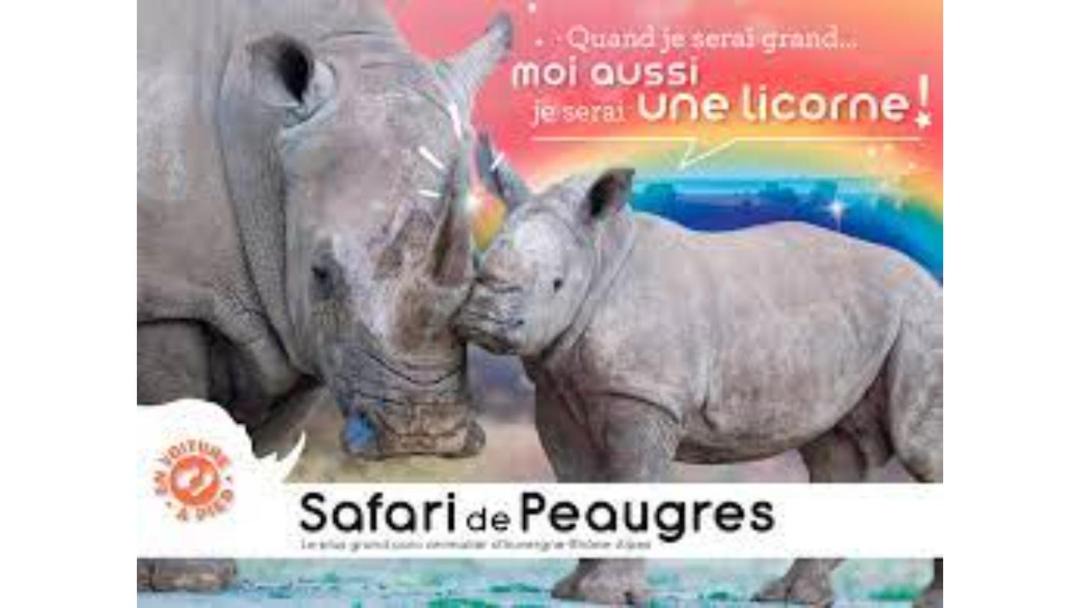 Photo of Others in Saint-Cyr