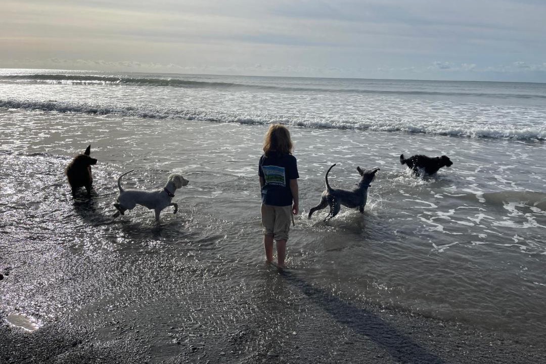 Photo of Others in Looe