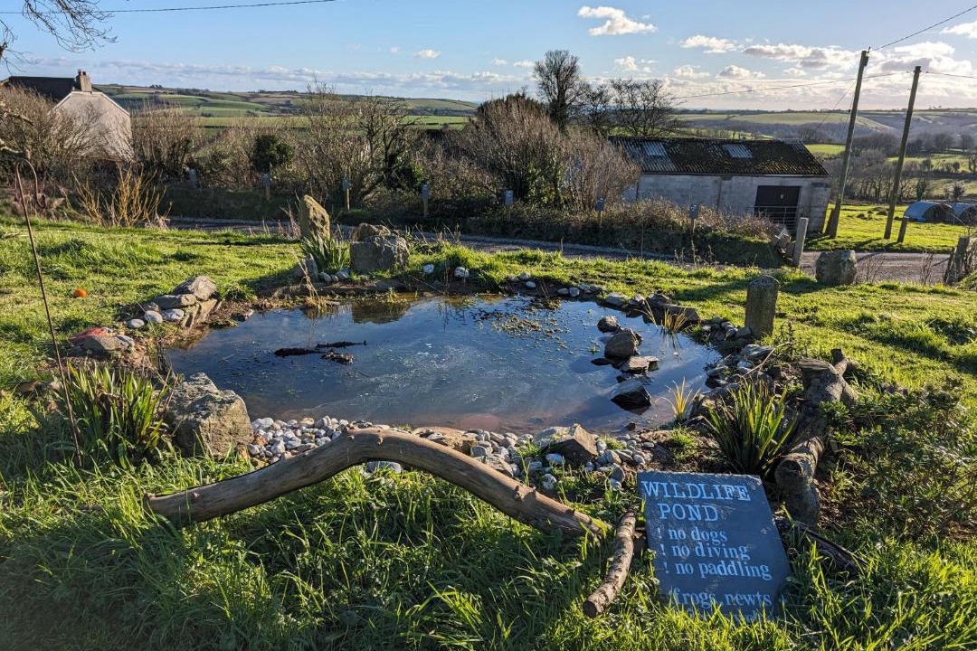 Photo of Others in Looe