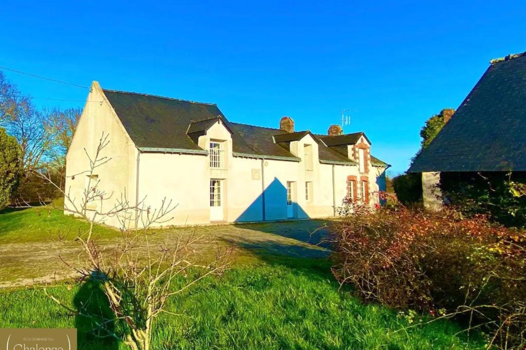 Photo of Others in Heric