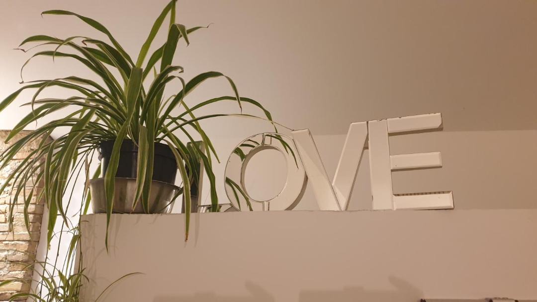 Photo of Others in Puygaillard-de-Quercy