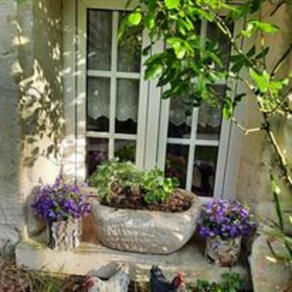 Photo of Others in Beaumont-en-Veron