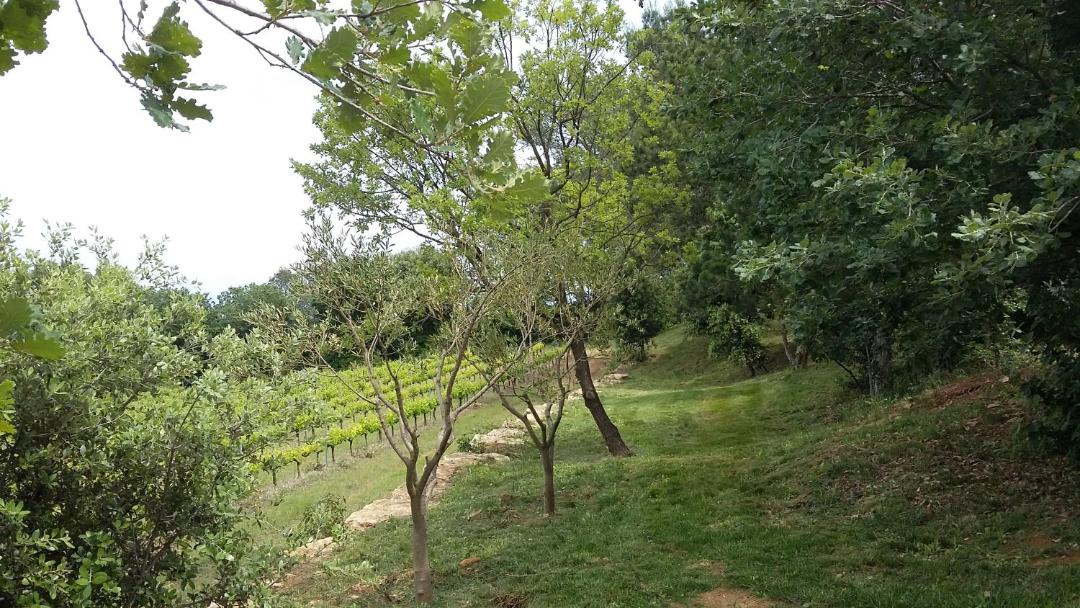 Photo of Others in Pont-Saint-Esprit