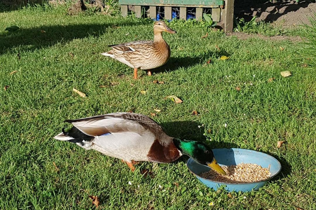 Photo of Others in Aubin
