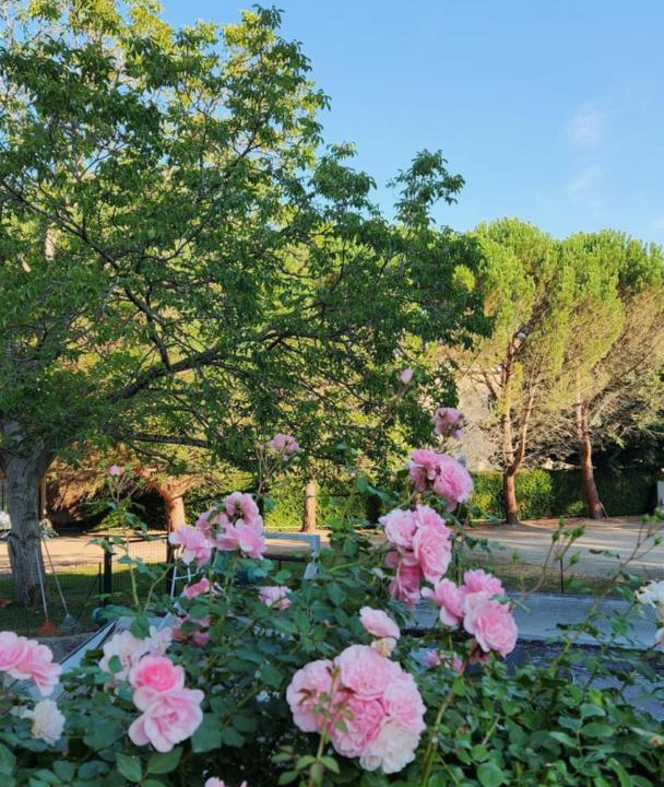 Photo of Others in Montverdun