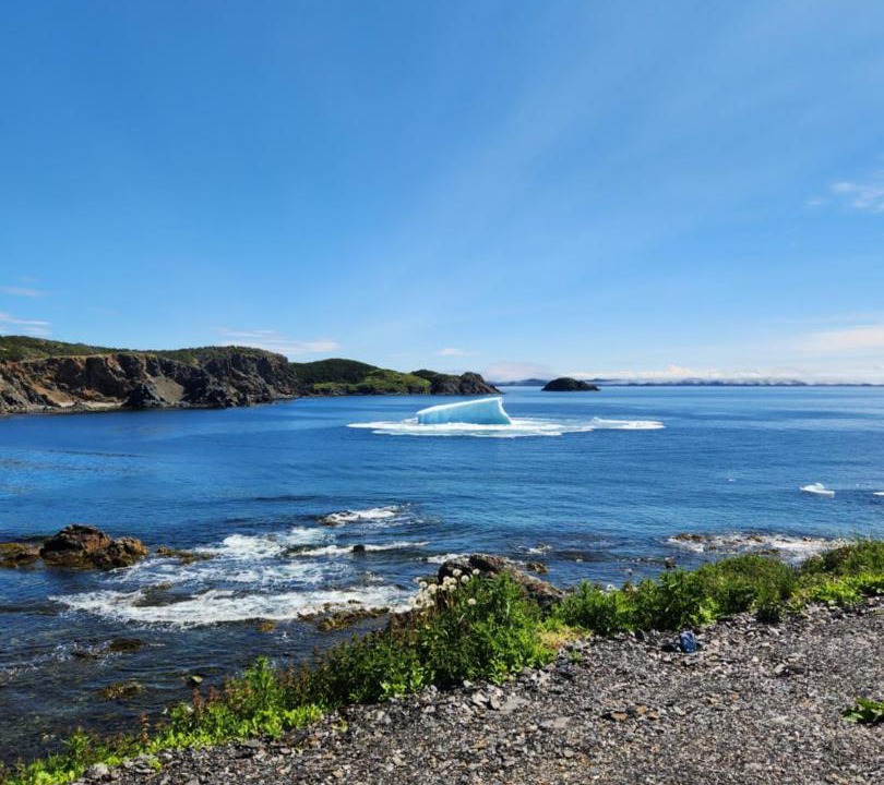 Photo of Others in Crow Head