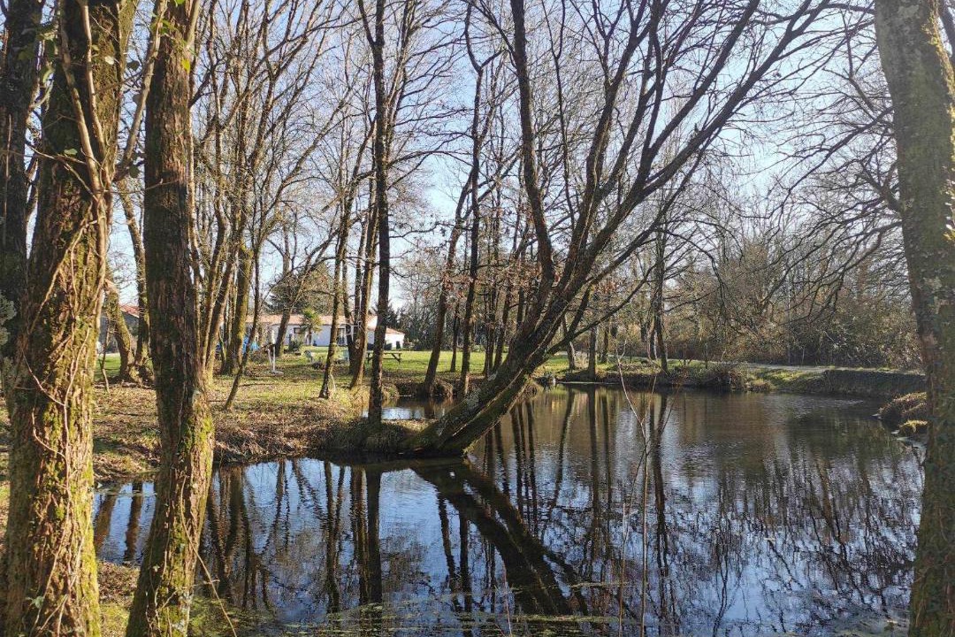 Photo of Others in La Garnache