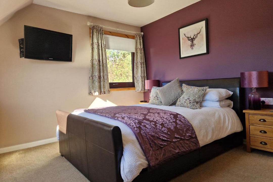 Photo of Others in Ullapool