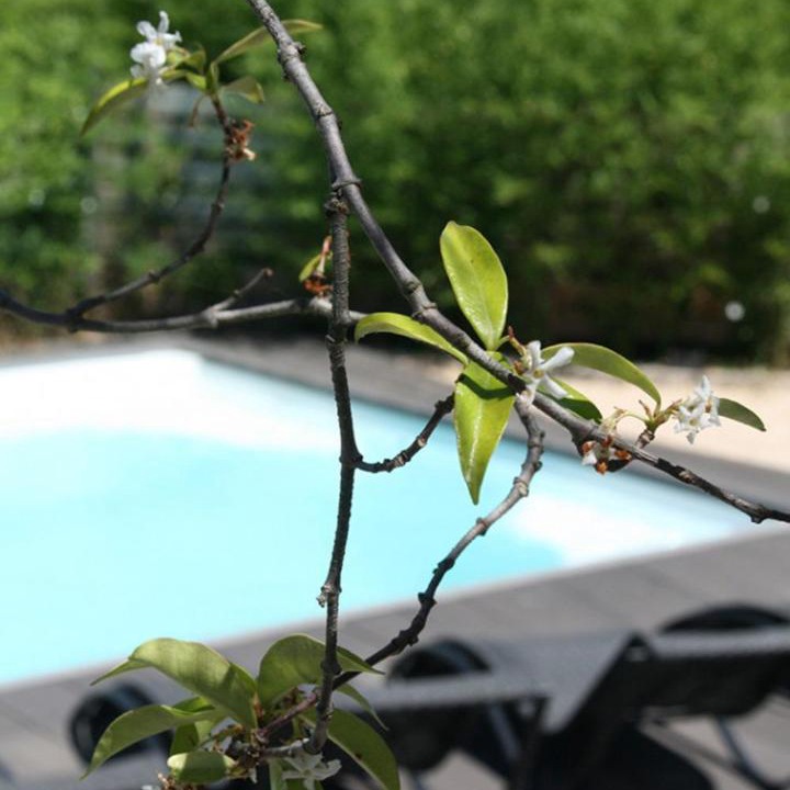 Photo of Others in Saint-Siffret