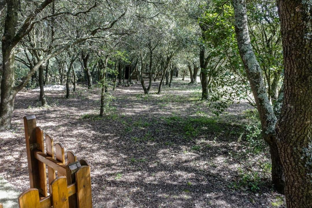 Photo of Others in Ventenac-Cabardes