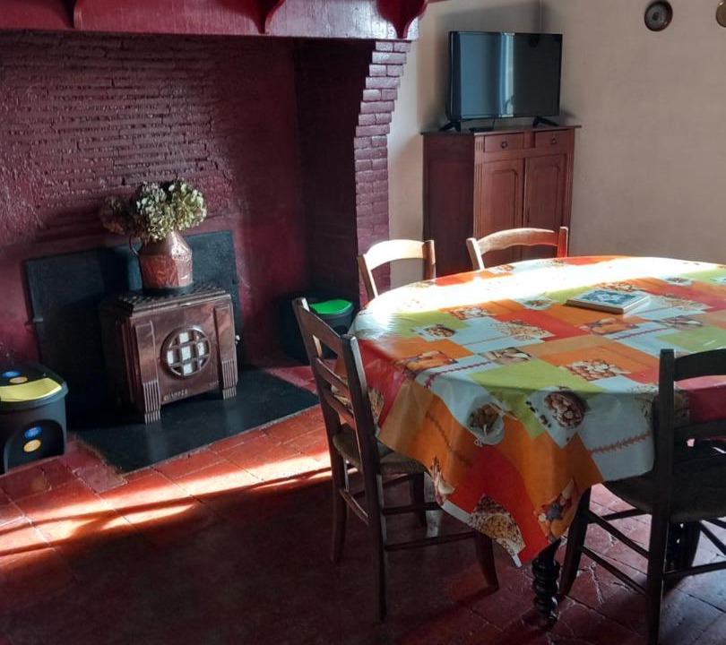 Photo of Others in Panjas