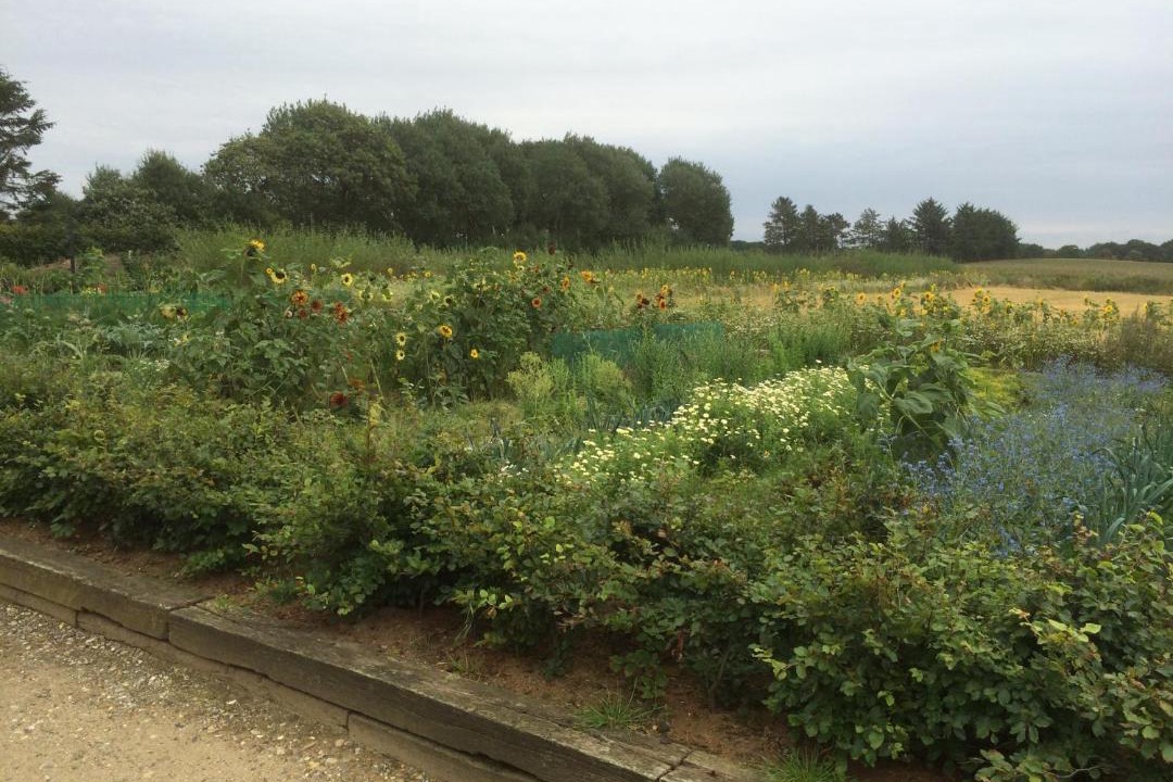 Photo of Outdoor in Herning