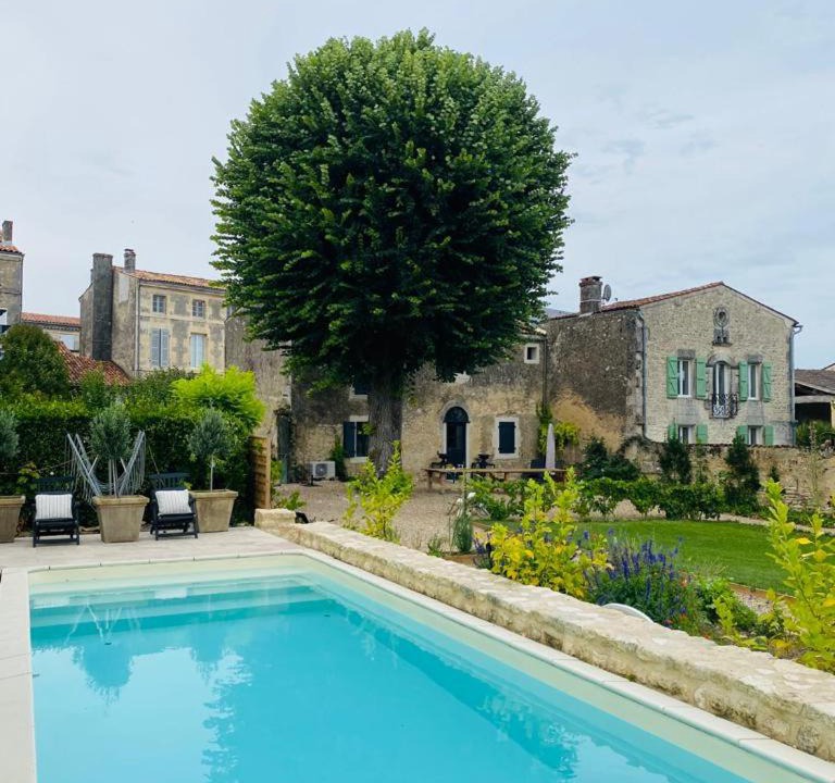 Photo of Others in Saint-Jean-d'Angely