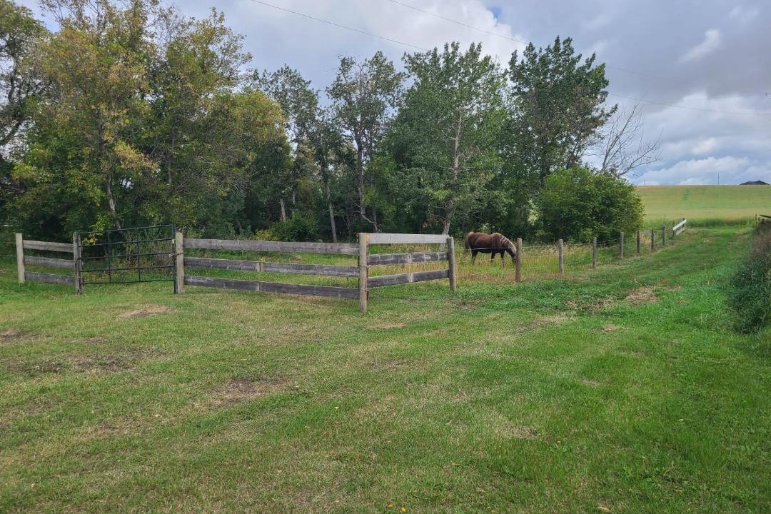 Photo of Others in Muzy