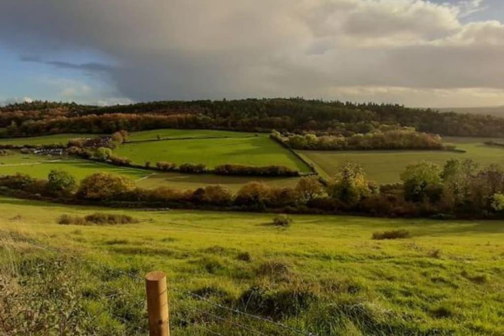 Photo of Others in Guildford