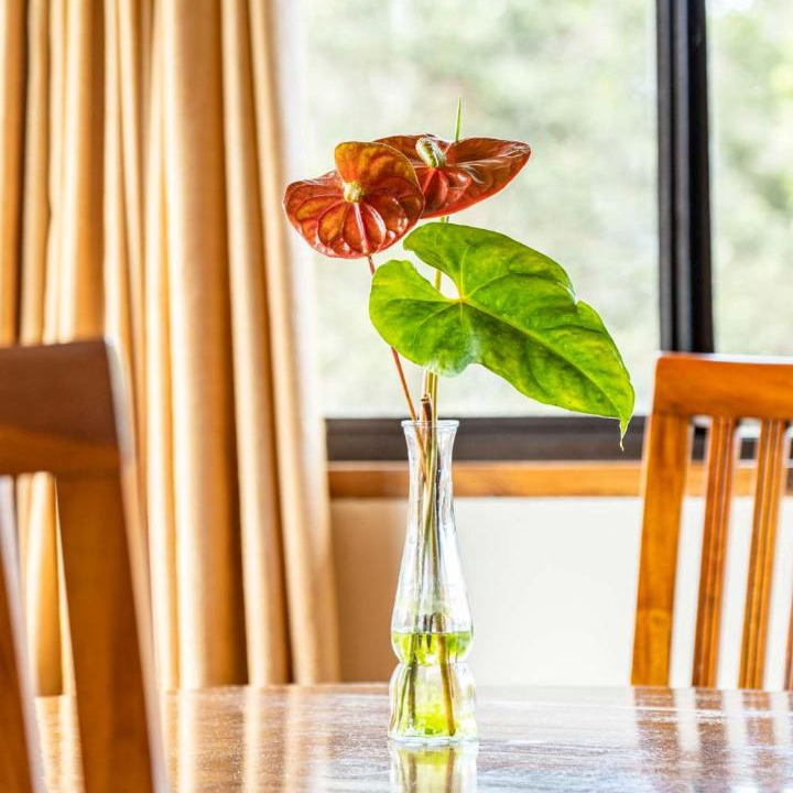 Photo of Others in Volcano