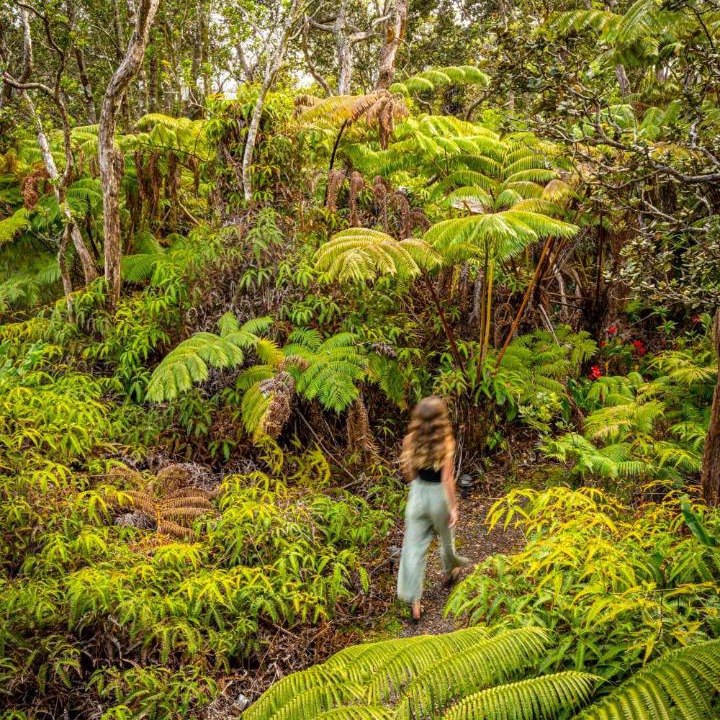 Photo of Others in Volcano