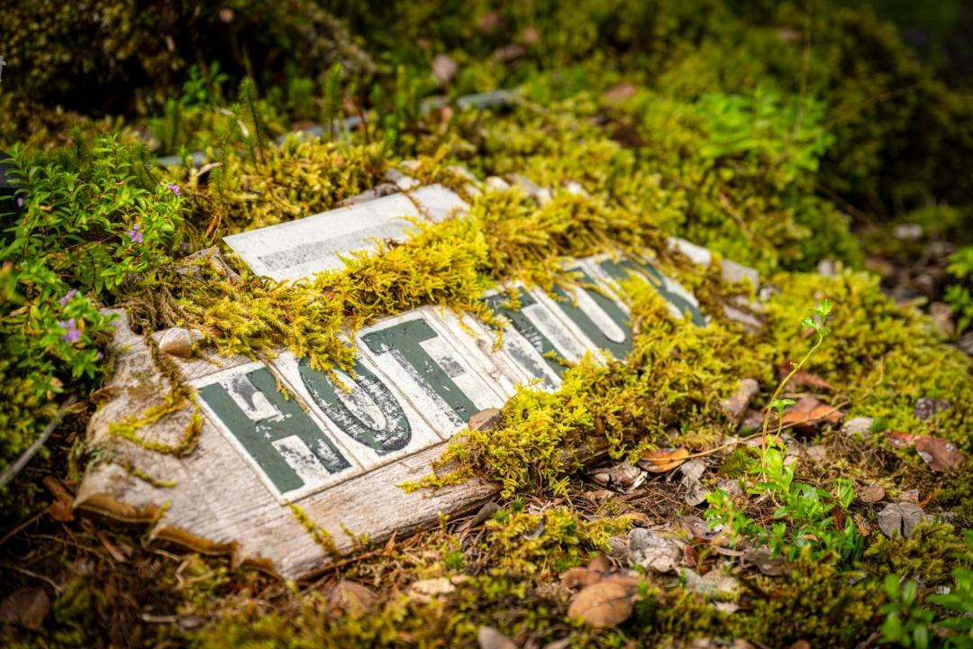 Photo of Others in Volcano