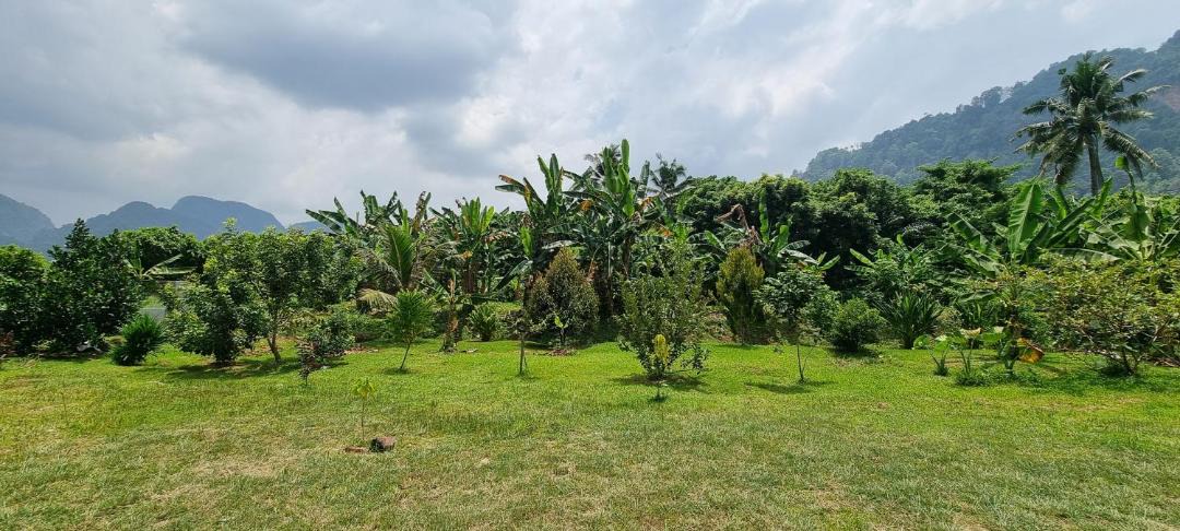 Photo of Others in Hulu Kinta