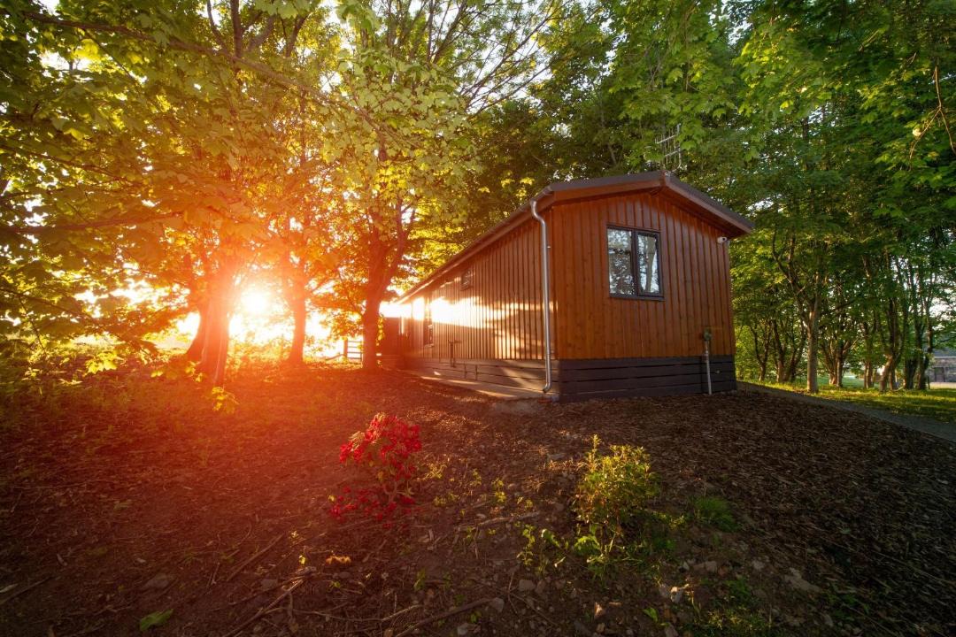 Photo of Others in Port Glasgow