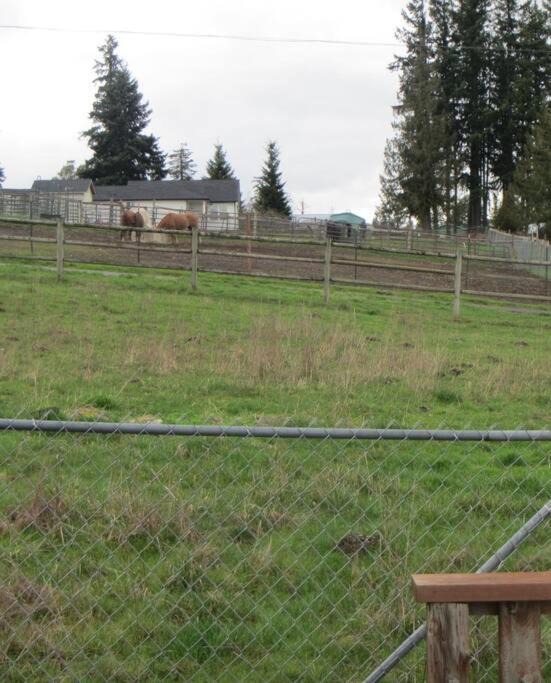 Photo of Others in McKenna