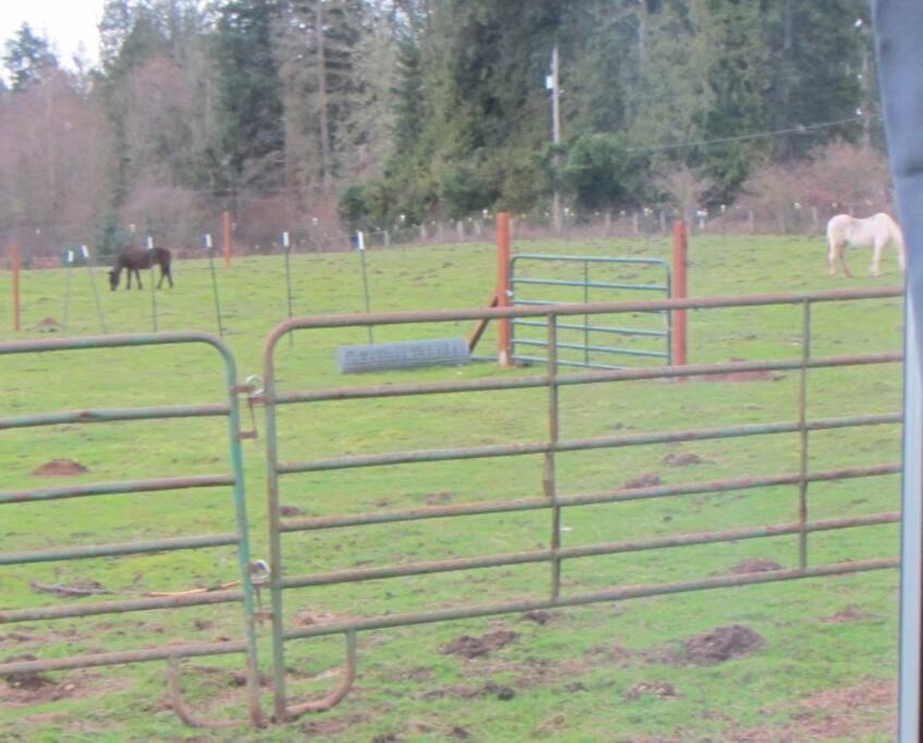 Photo of Others in McKenna