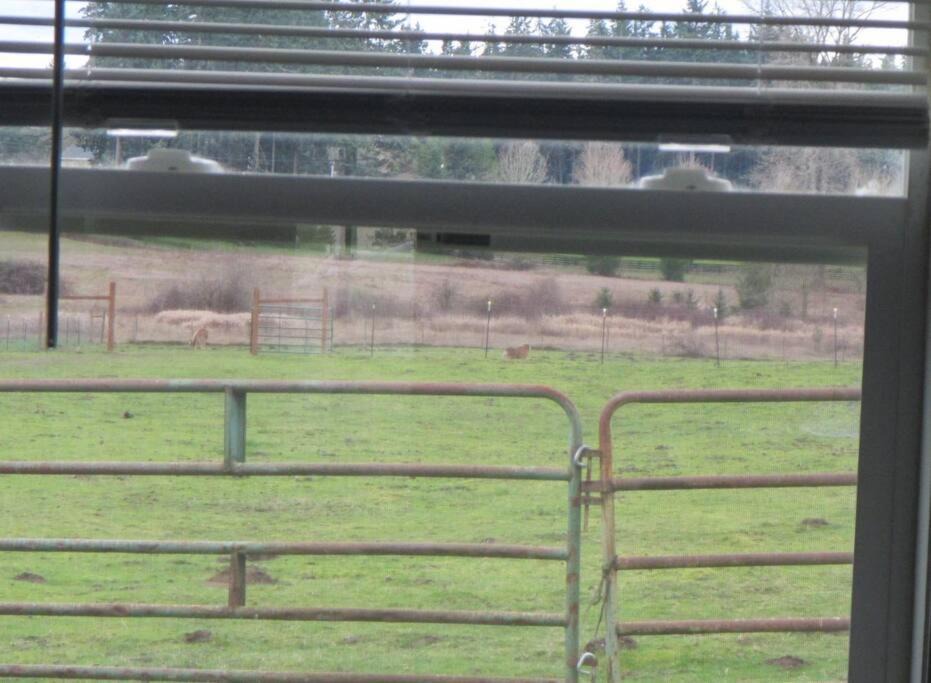 Photo of Others in McKenna