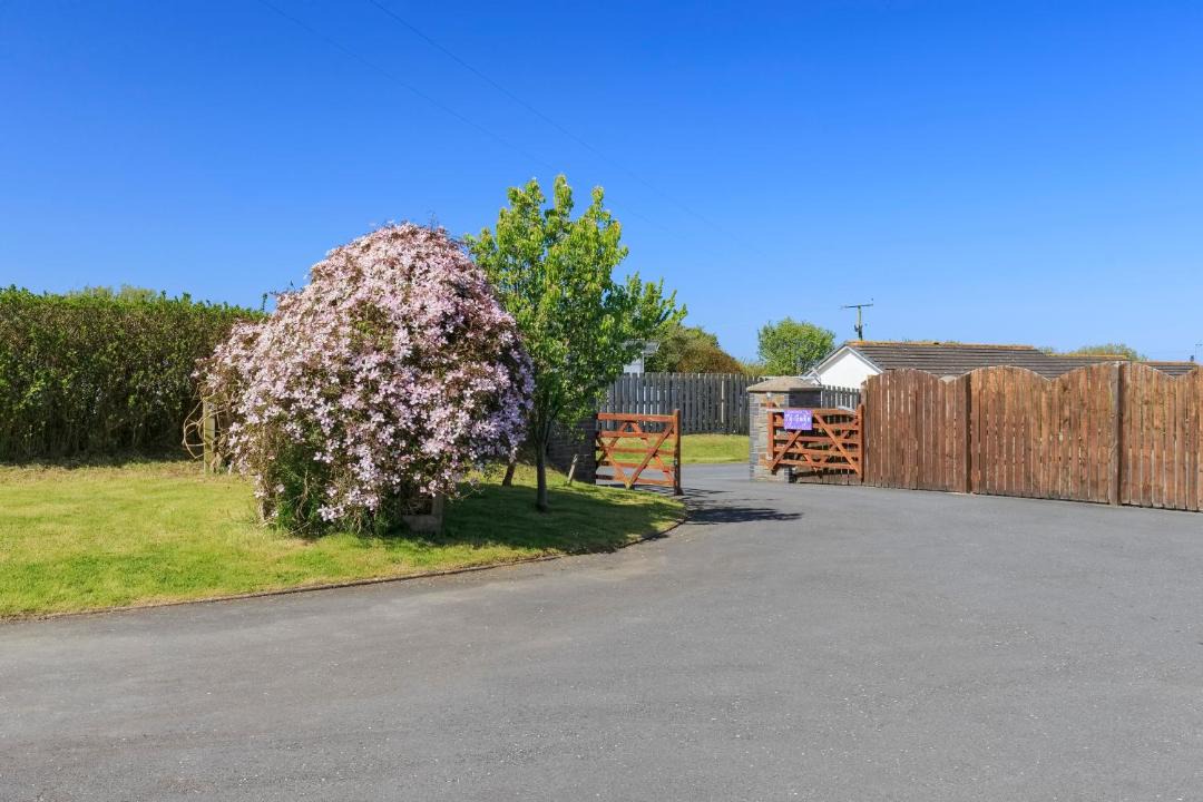 Photo of Others in Aberaeron