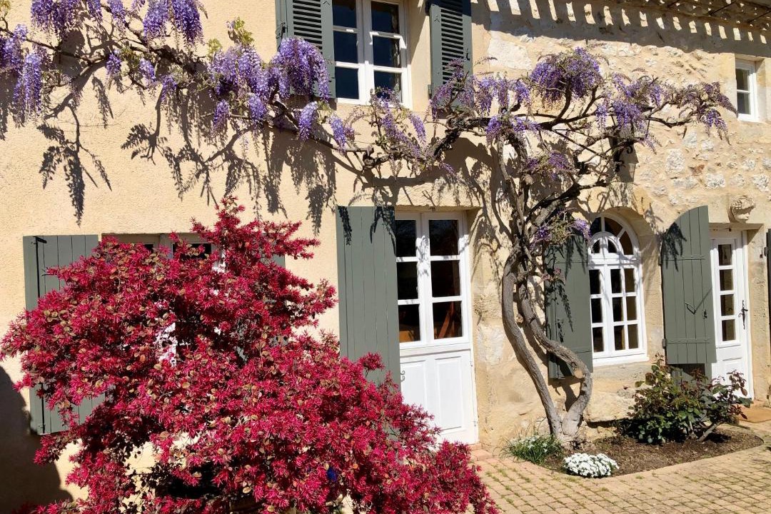 Photo of Others in Saint-Seurin-de-Prats