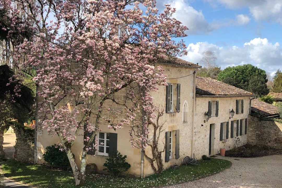 Photo of Others in Saint-Seurin-de-Prats