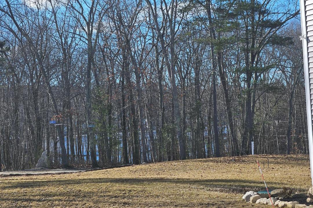 Photo of Others in Leicester