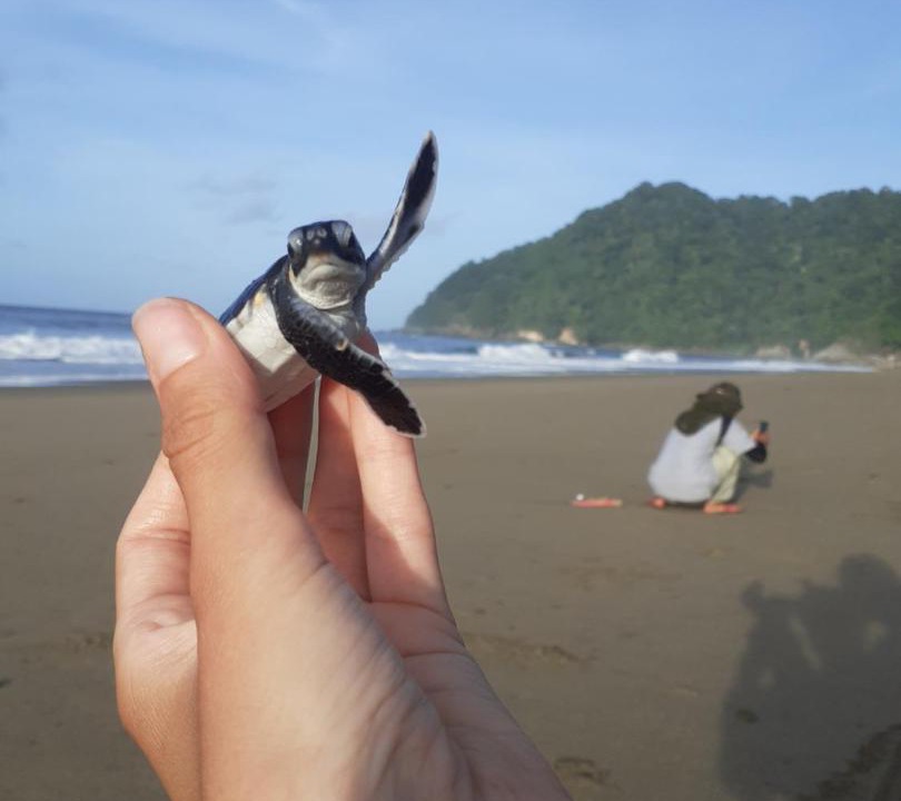 Photo of Others in Sumberagung