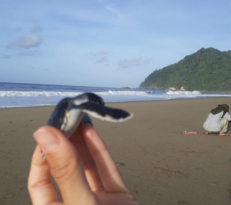 Photo of Others in Sumberagung