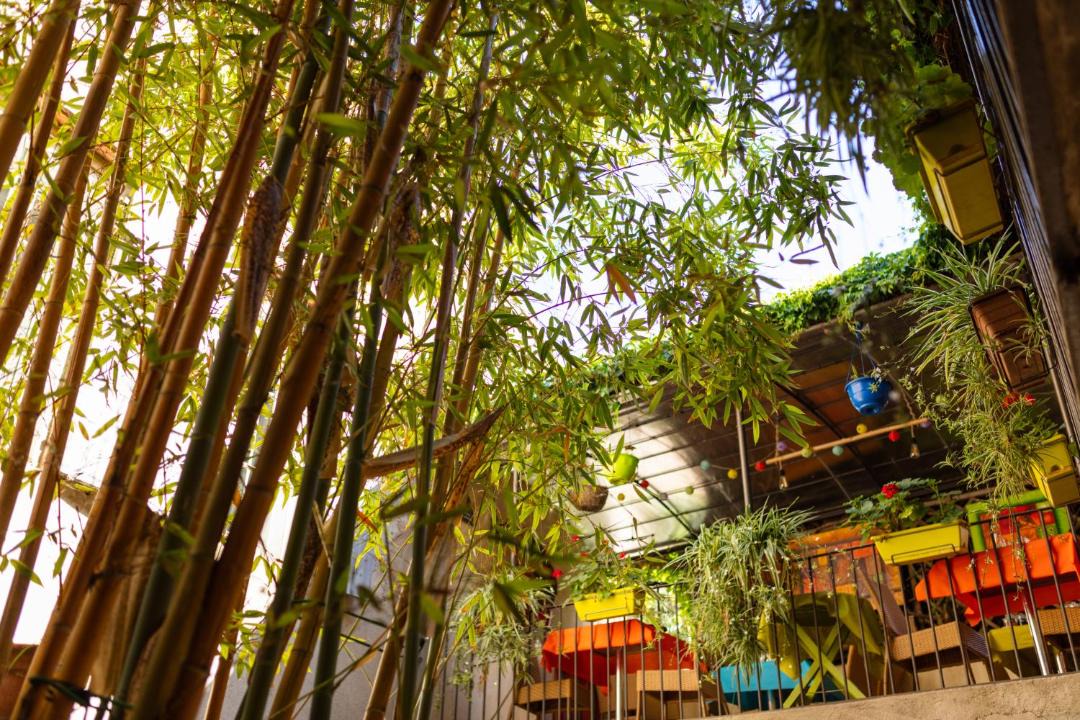 Photo of Others in Rivesaltes