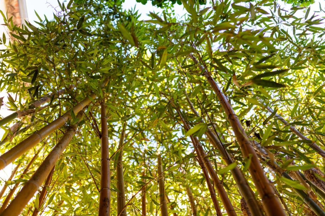 Photo of Others in Rivesaltes