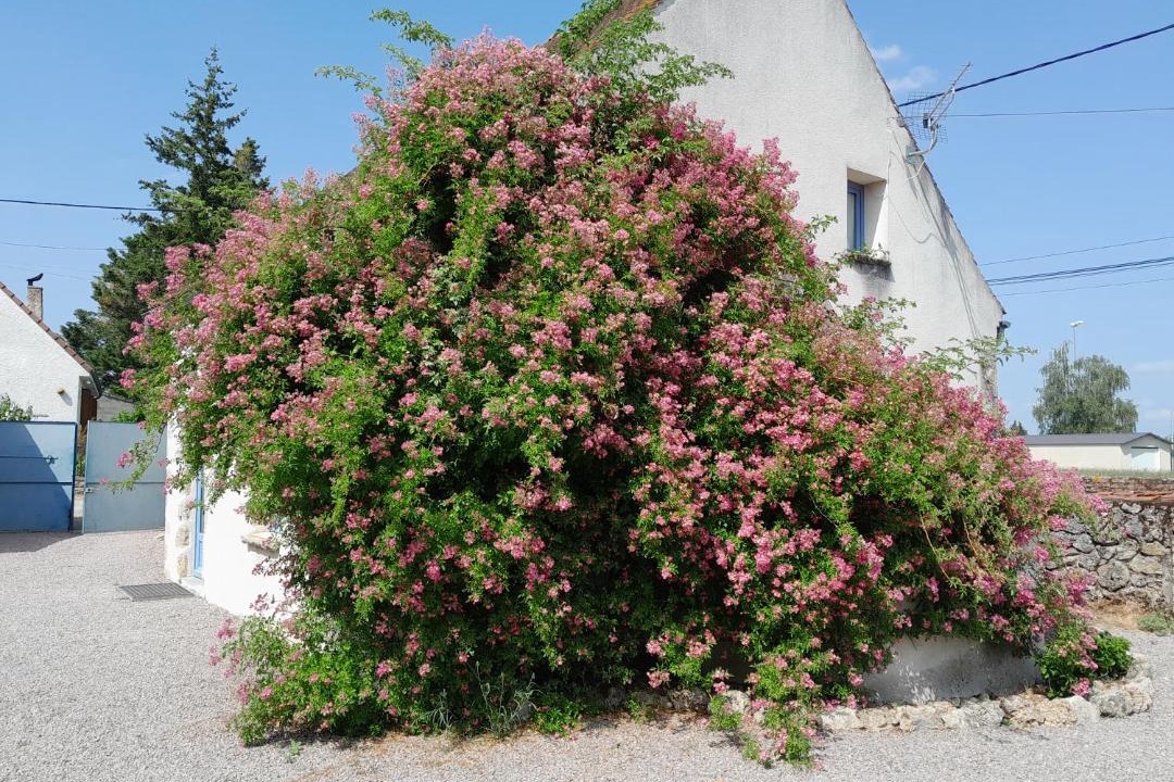 Photo of Others in Louchy-Montfand